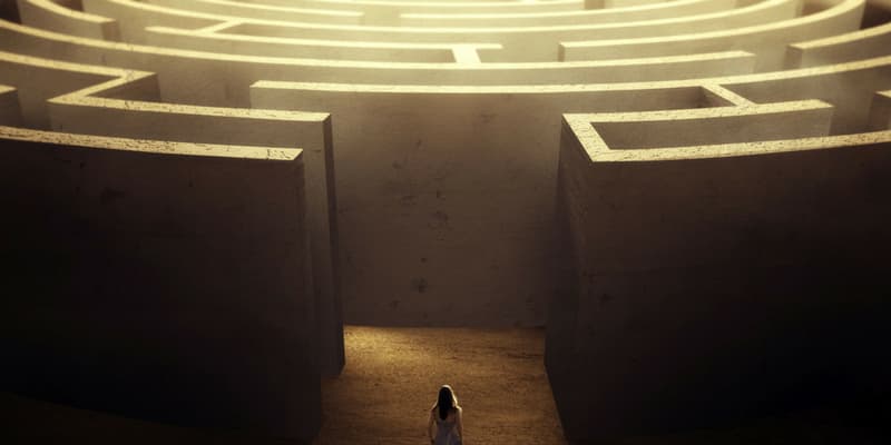 Labirynt zwany życiem