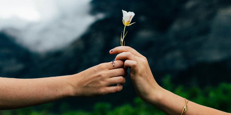 VII niedziela zwykła: “Do ut des” – daję, aby otrzymać?